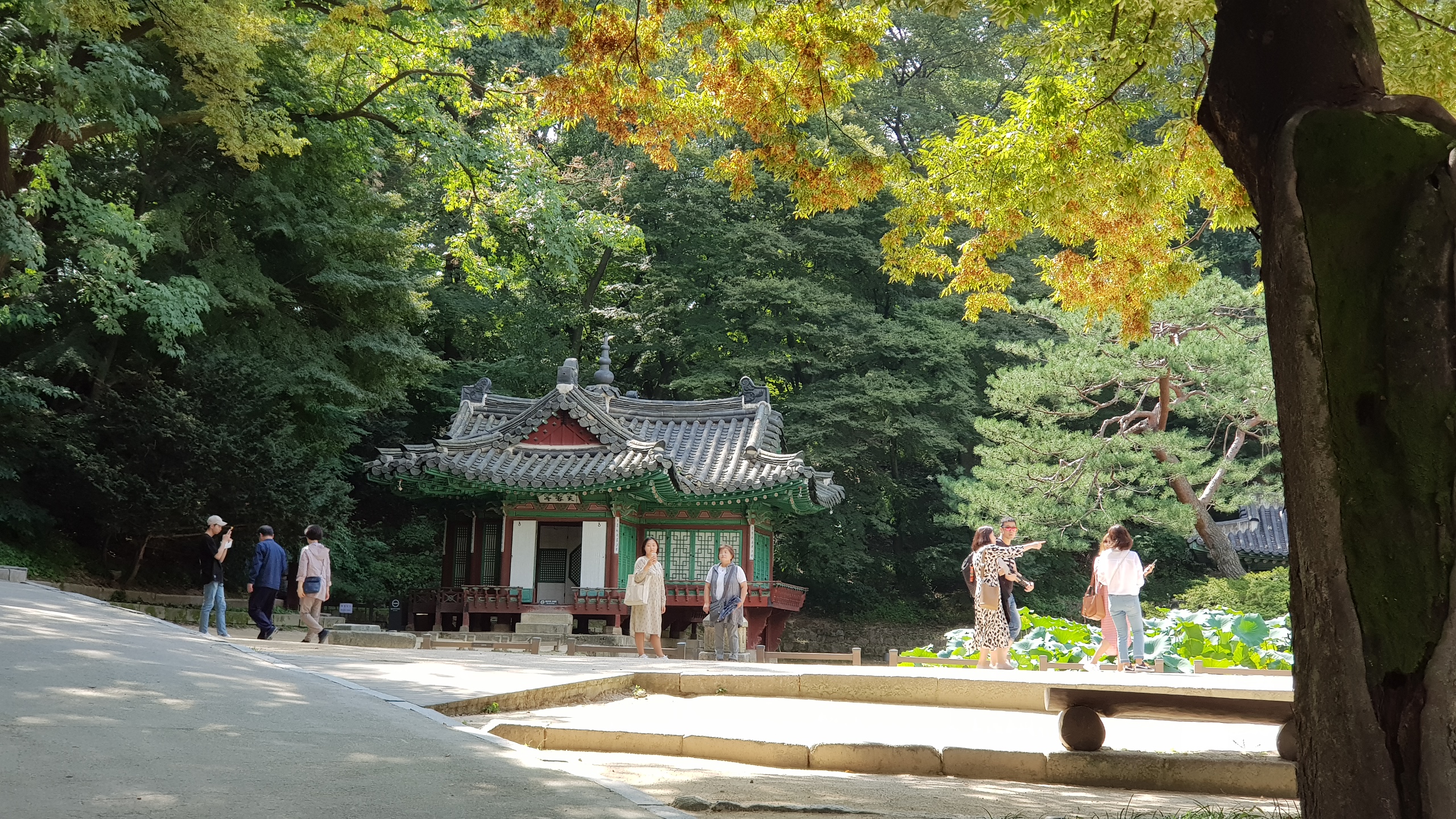 Changdeokgung Palace Tour 