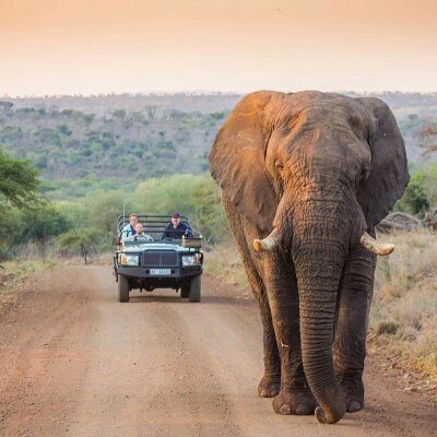 Kruger Park Safari & Awesome Panorama Route